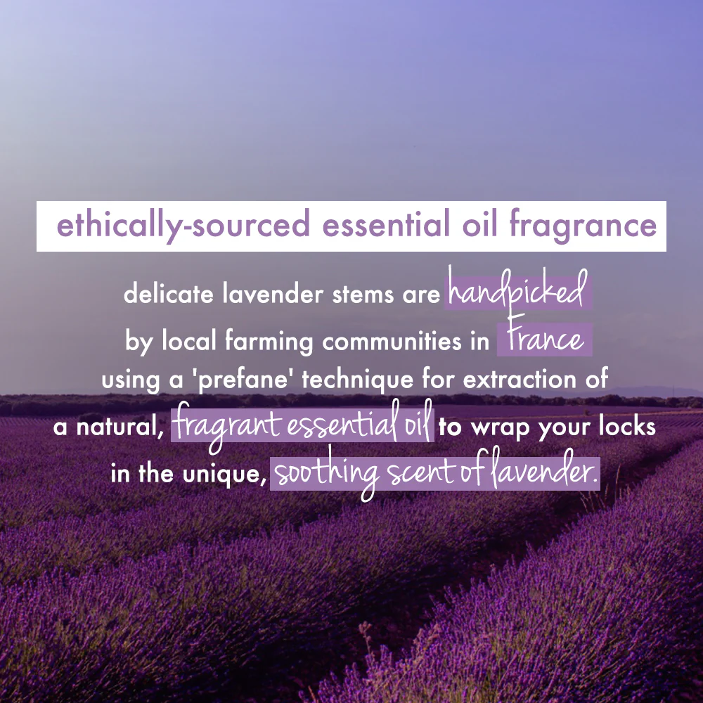 Argan Oil & Lavender Heat Protect & Conditioning Mist - Image 5