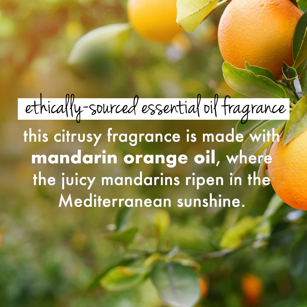 Curry Leaves & Biotin Shampoo + Conditioner Combo - 200 ml Each - Image 5