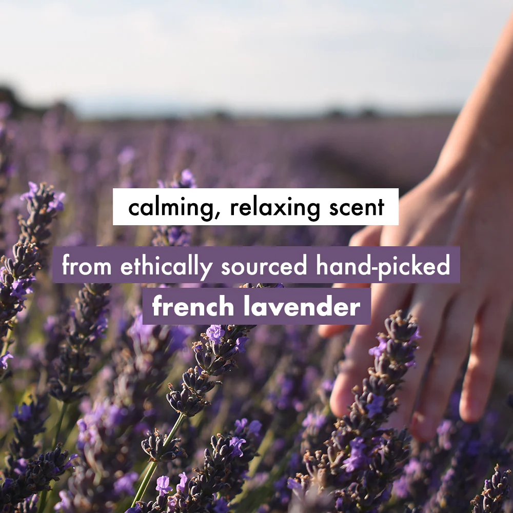 Argan Oil and Lavender Sulfate Free Smooth Serene Shampoo | 600ml - Image 6