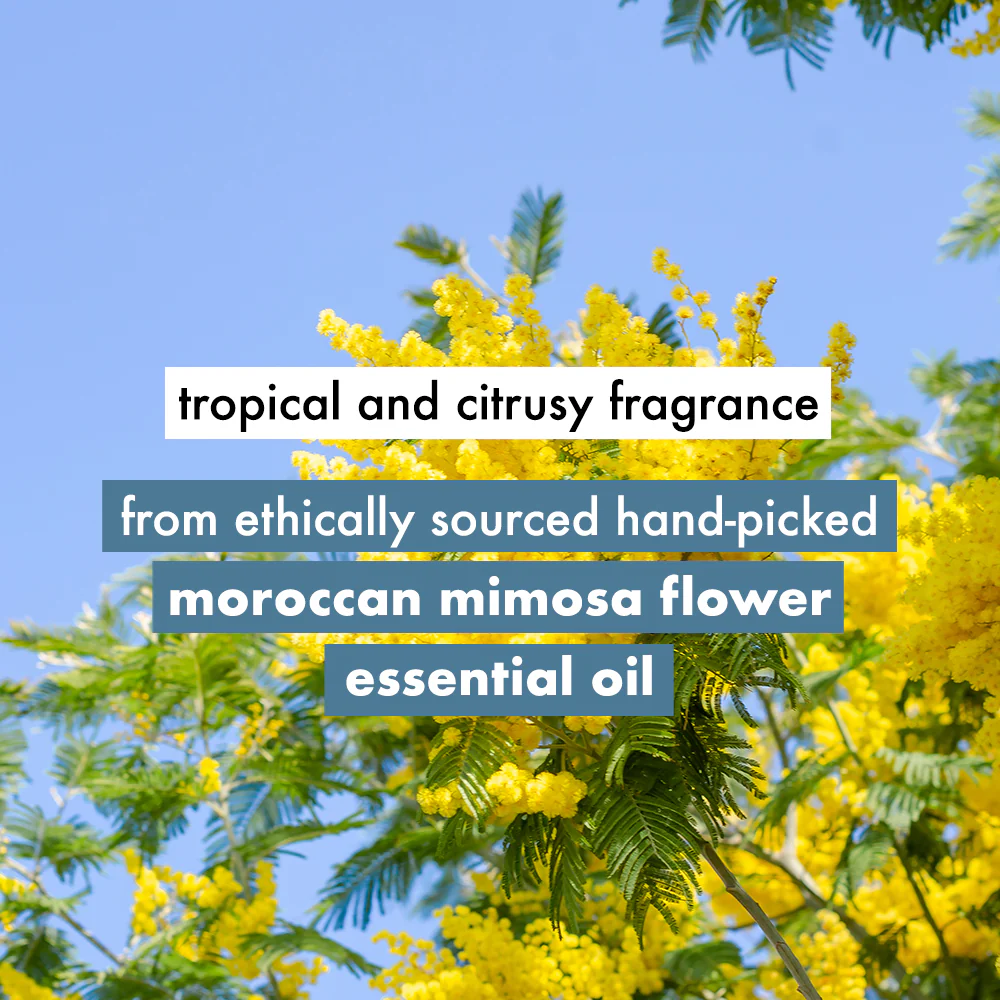 Coconut Water & Mimosa Flower Shampoo + Conditioner Combo - Image 5
