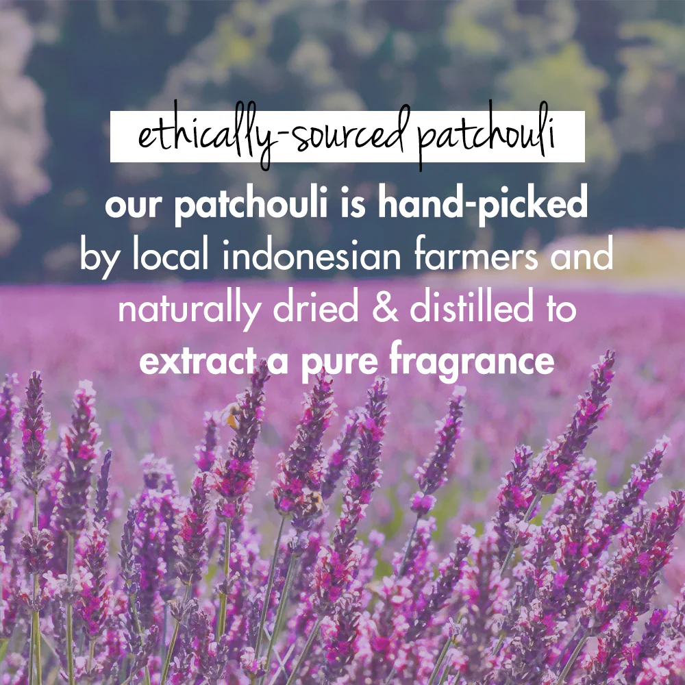 Onion, Black Seed Oil & Patchouli Hair Oil - Image 5
