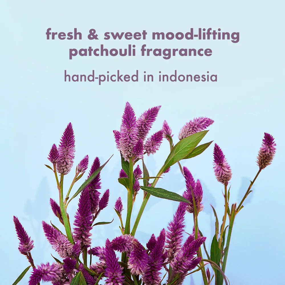 Onion, Black Seed & Patchouli Shampoo + Conditioner Combo - 400 ml Each - Image 6