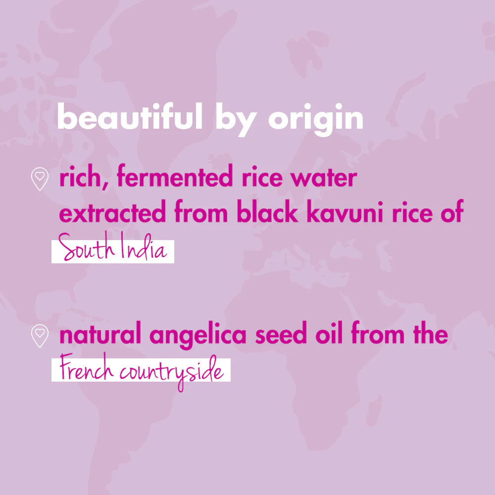 Rice Water & Angelica Seed Oil Shampoo - Image 6